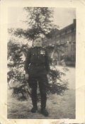 германия 1946.jpg
