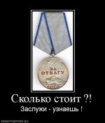 666305_skolko-stoit-.jpg