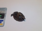 image6.jpeg