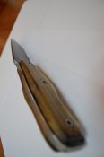 DSC_0092.JPG