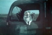 0209_Машина снабжения из 18-й танковой дивизии..jpg