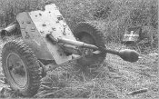 patrone.jpg