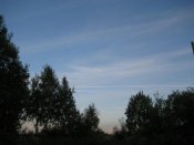 x_6590ce44 (Medium).jpg