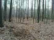 DSC00761.jpg