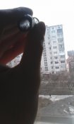 IMG_20160204_155307.jpg
