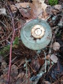 20160204_155955.jpg