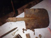 DSC00784.jpg