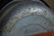 DSC_4797.JPG