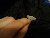 DSC00100.JPG