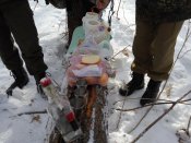 IMG_2016-02-06_105036[1].jpg