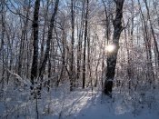 IMG_2016-02-06_092038[2].jpg