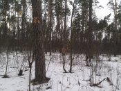 IMG_20160206_100631.jpg