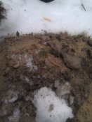 IMG_20160206_104202.jpg