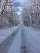 DSC_0001.JPG