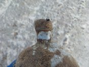 IMG_20160206_140616.jpg