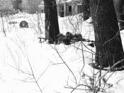 DSC04894.JPG