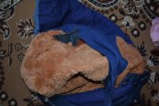 DSC_0174.JPG