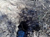P14-11-10_13.28.jpg