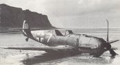 Crash-landed-Me109-px800.jpg