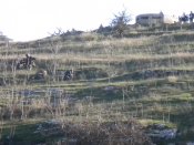 DSCN0183+1.jpg