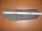 IMG_4973.JPG