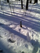IMG_20160207_103657.jpg