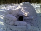 IMG_20160207_123904.jpg