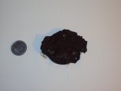 DSC06615.jpg