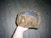 PIC_0921.JPG