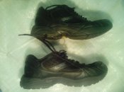 IMG_20160210_142231.jpg