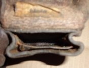 DSC01580.jpg