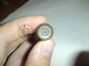 DSC01159.jpg