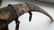 DSCN5318.JPG