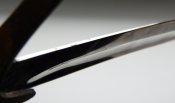 DSCN5320.JPG