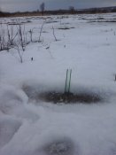 20160211_154955.jpg