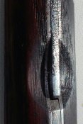 20160212_111221-1-1.jpg