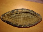20160213_094240.jpg