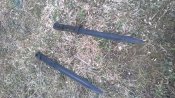 WP_20160213_052.jpg
