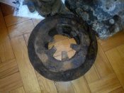 IMG_20130104_053505.jpg