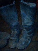DSC00220.jpg