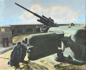 flak_03.jpg
