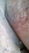20160215_131242.jpg