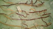 20160216_125737.jpg