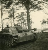 pz3.JPG