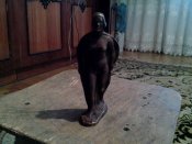IMG_20160216_162159.jpg