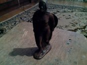 IMG_20160216_162121.jpg