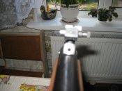 IMG_8377.jpg