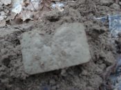 DSC08170.JPG