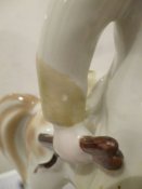 24417066.jpg
