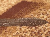 IMG_0004.JPG